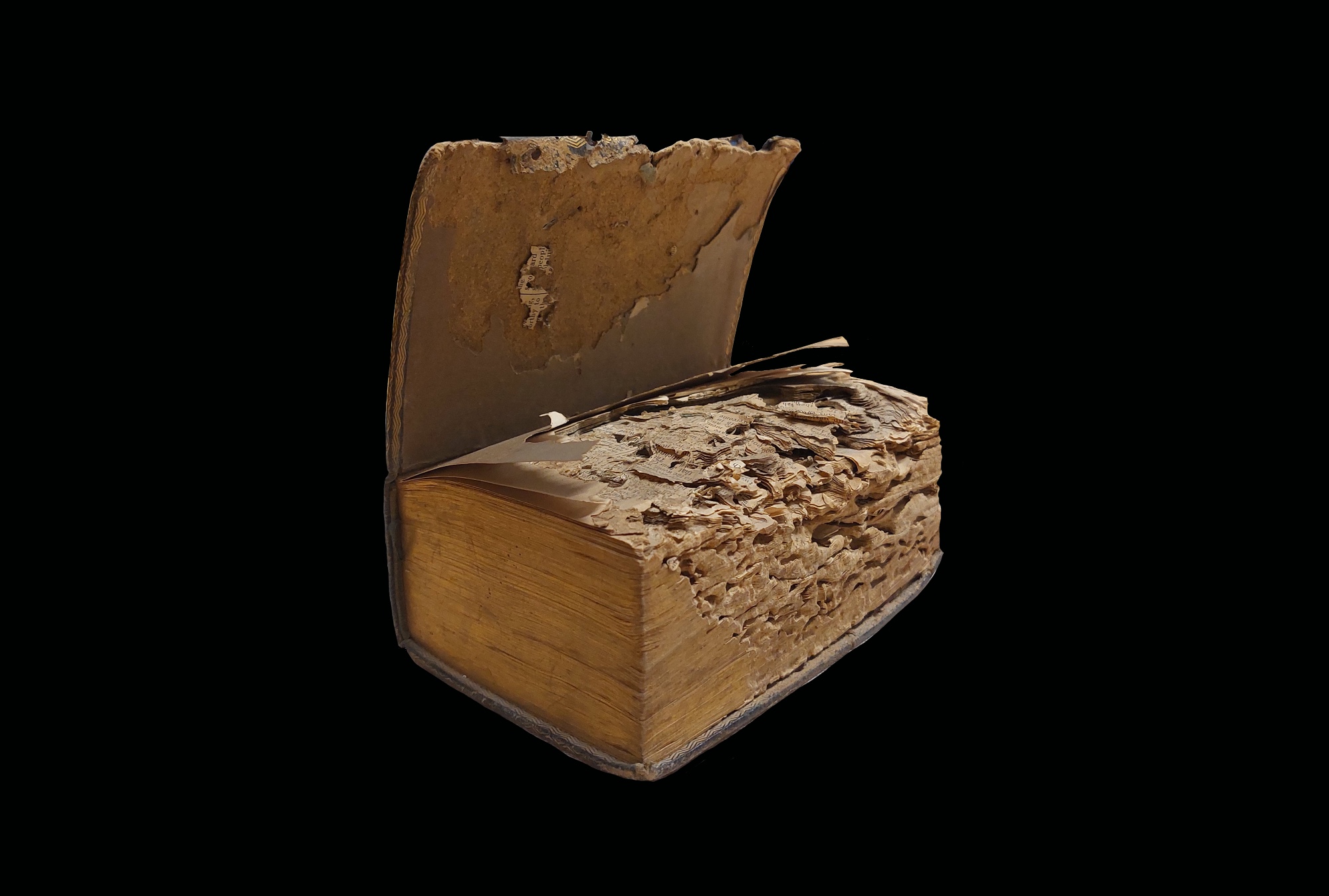 Bible destroyed by a large species of bookworm with pages eaten through