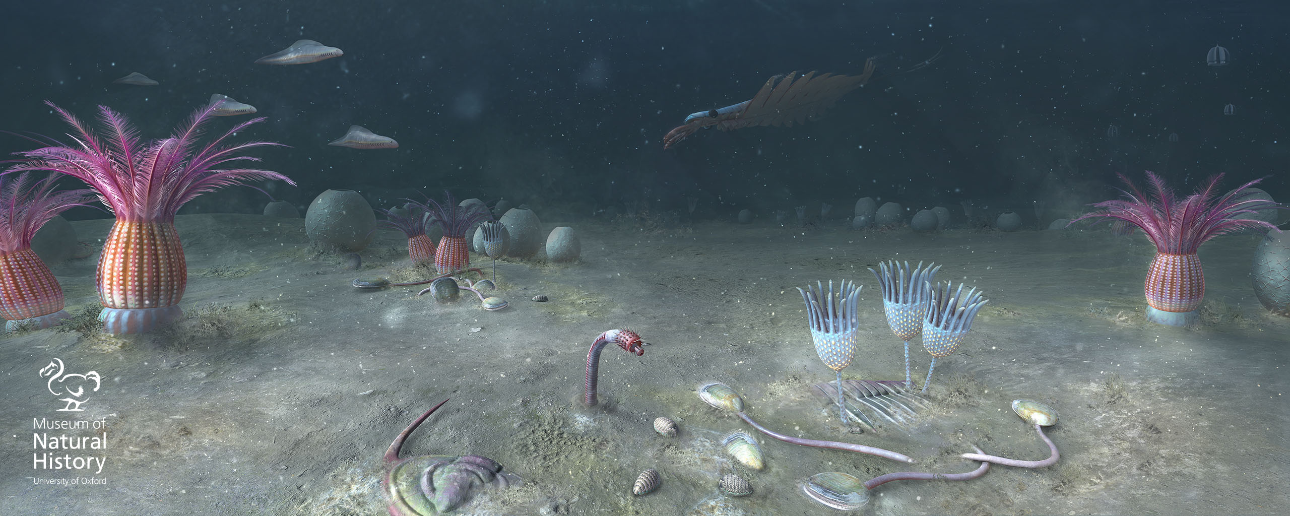 First Animals exhibition extended until Sept 2020 Oxford University