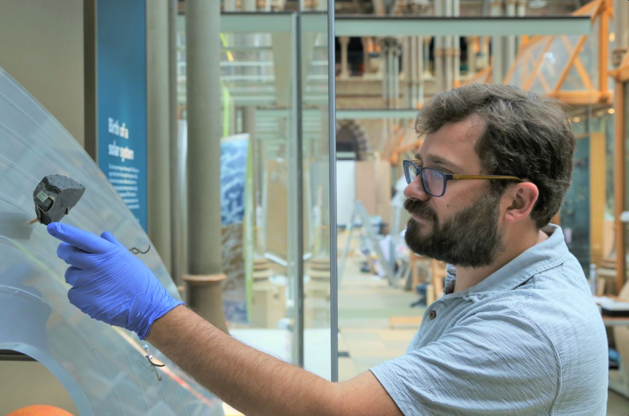 A museum staff member placing specimens into a redisplay case