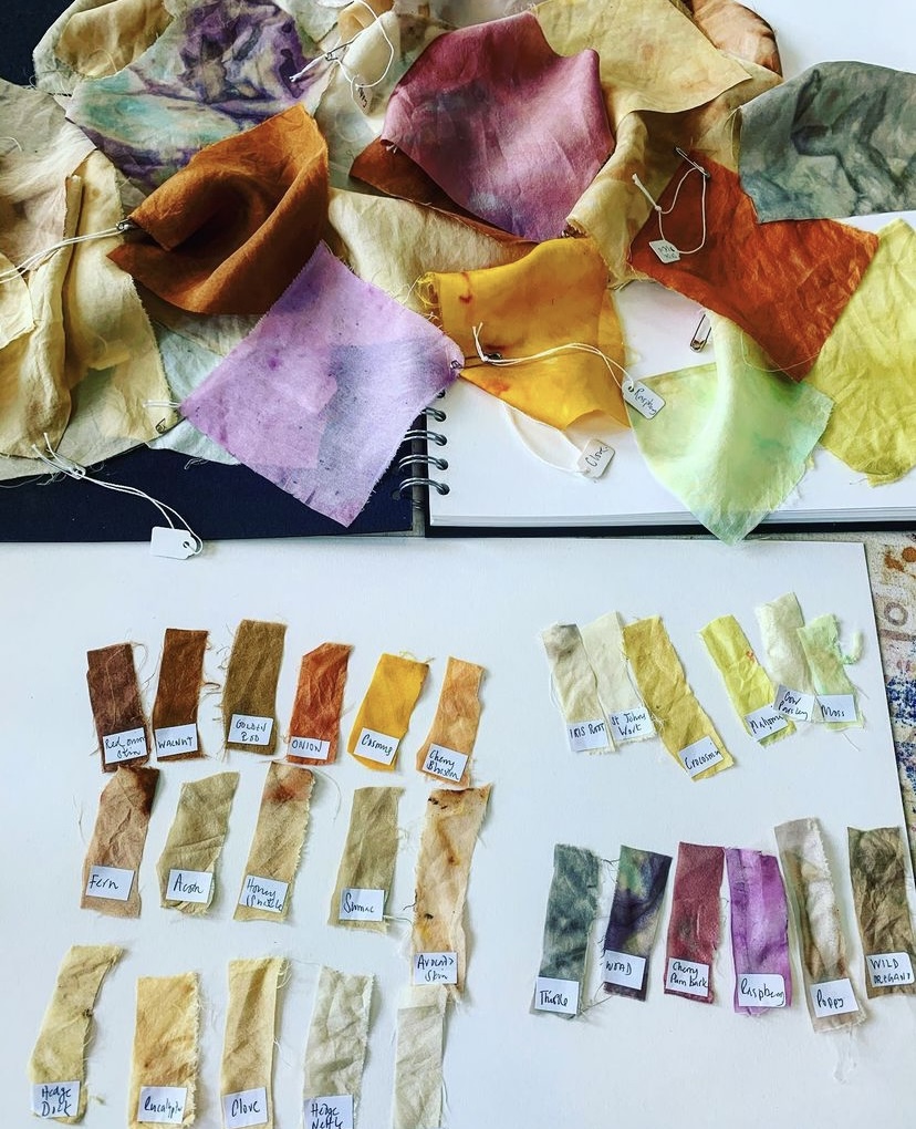 Labelled swatches of fabric dyed with different plants including onions, cherry blossoms, and ferns
