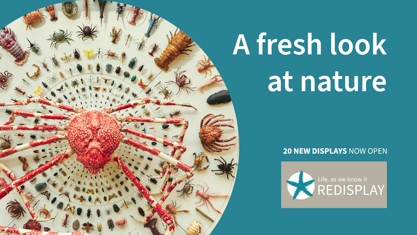 A fresh look at nature with Life as we know it. 20 new displays now open.