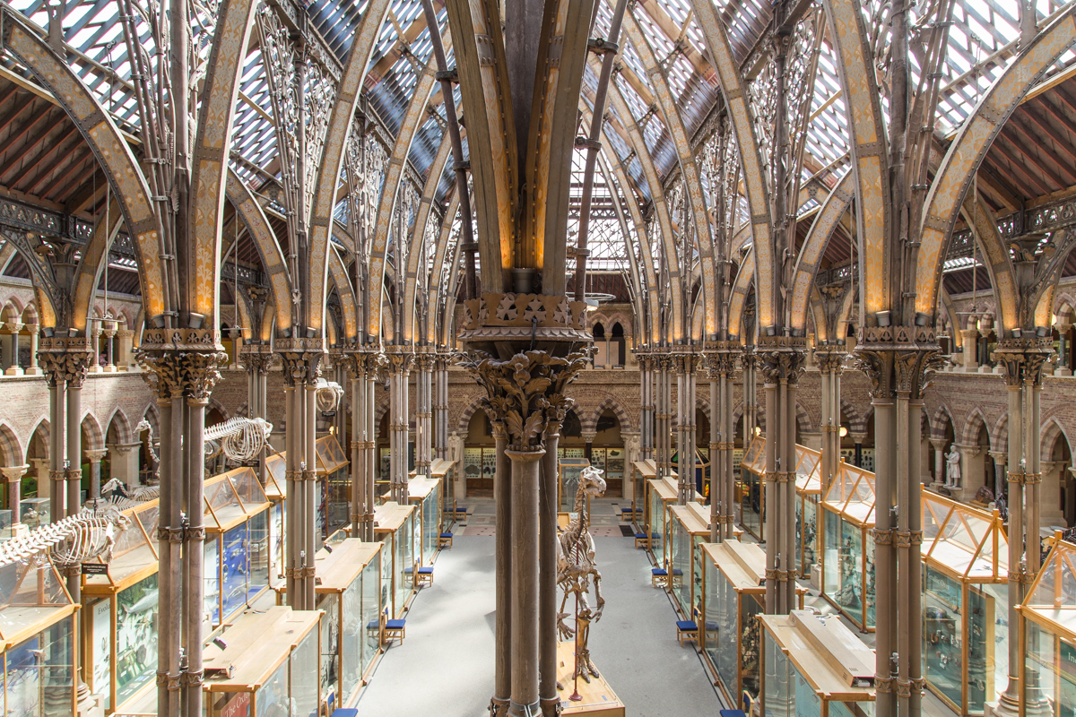 Architecture and Decoration | Oxford University Museum of Natural History