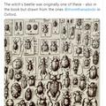 insects drawing in post
