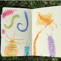 worms from lukes talk