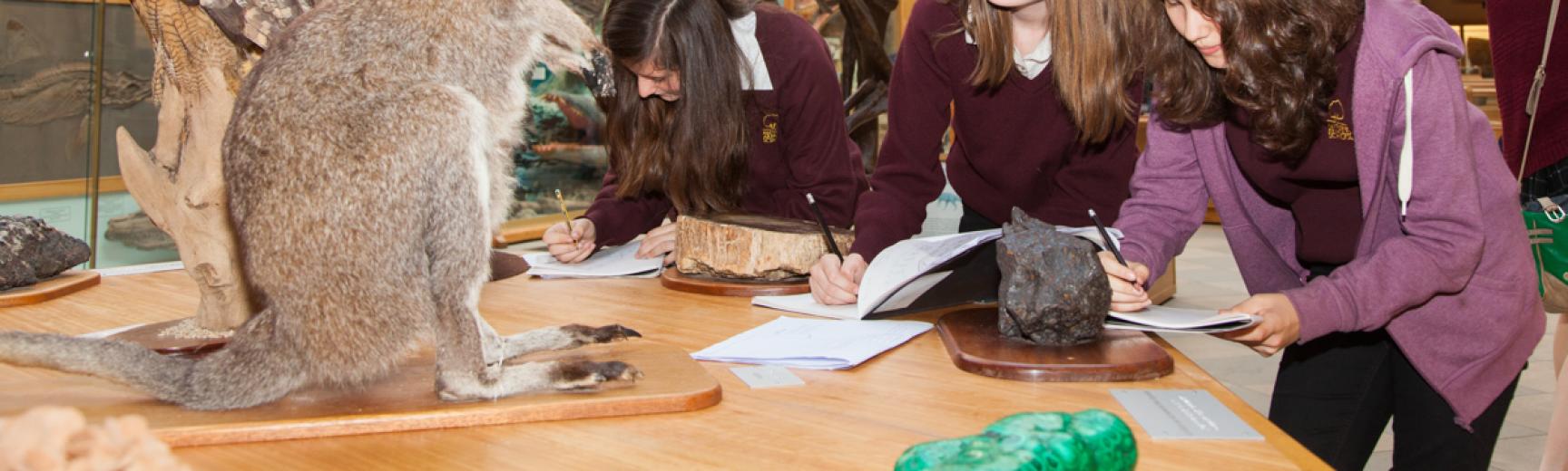 secondary schools art at the Museum of Natural History