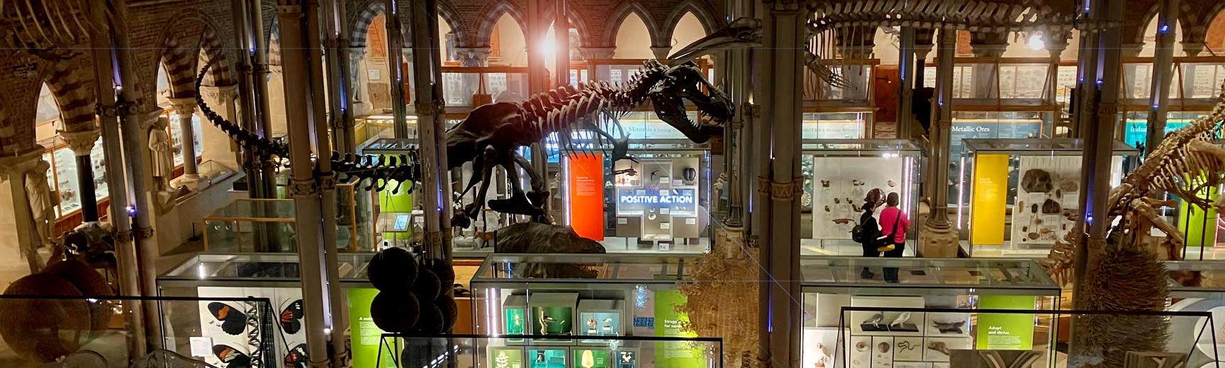 A view of the Museum's Main Court with the T.rex in the centre during the dark of a winter's evening