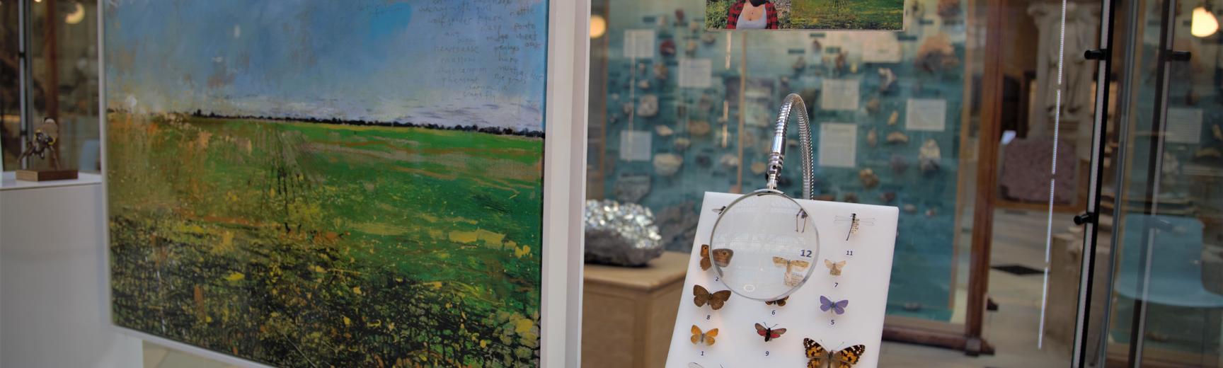 View of a display cabinet showing a Kurt Jackson painting and some butterfly specimens, part of the Biodiversity exhibition at the Museum