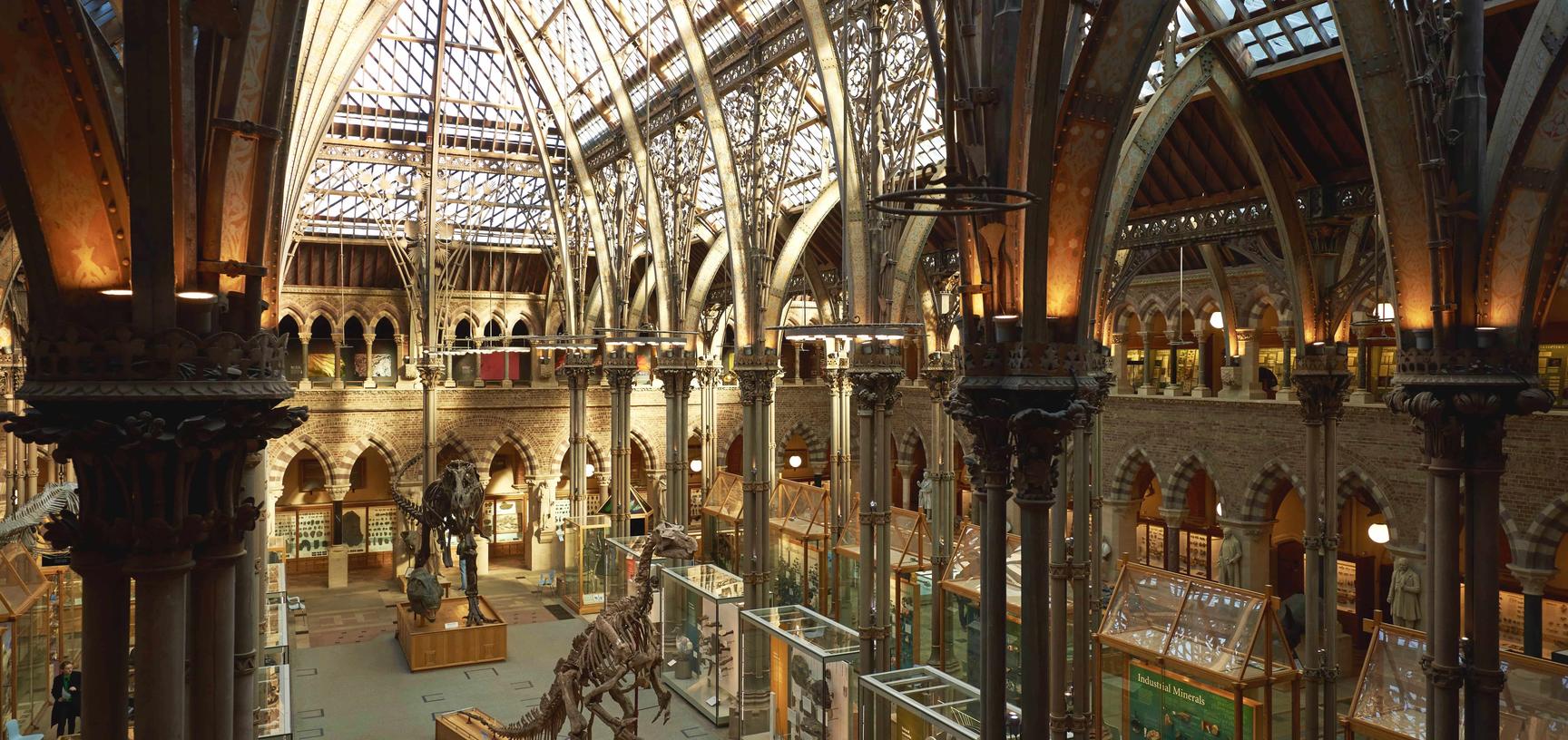 View of cathedral-like iron and glass court featuring two central dinosaur skeletons flanked by glass showcases