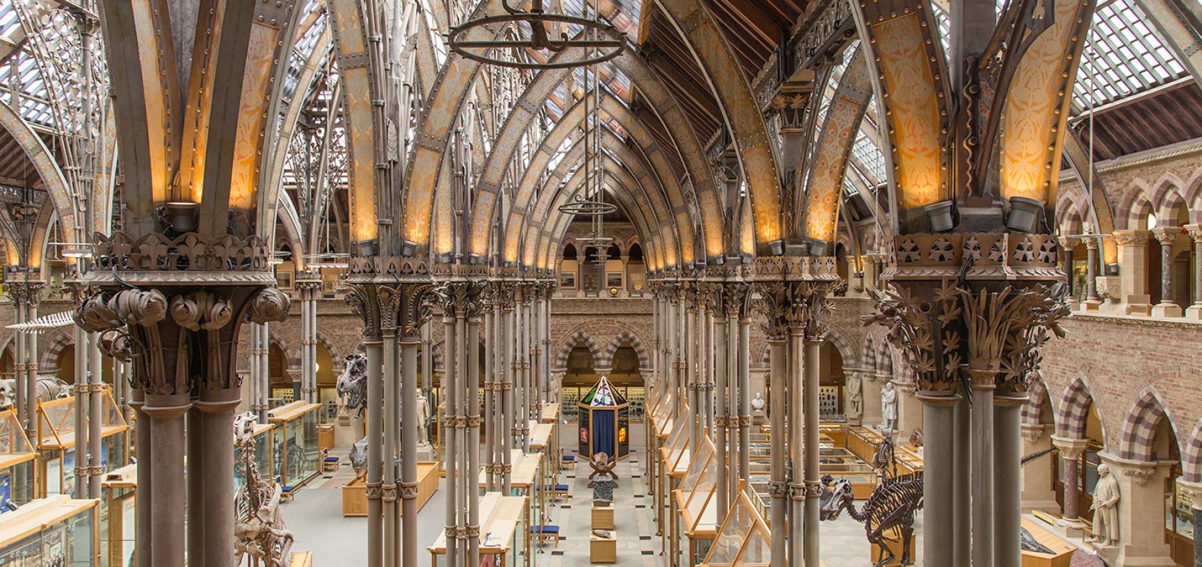 Oxford University Museum of Natural History interior architecture