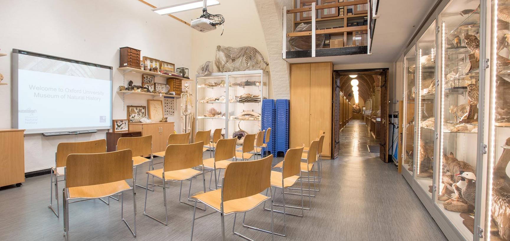 Seminar room Oxford University Museum of Natural History