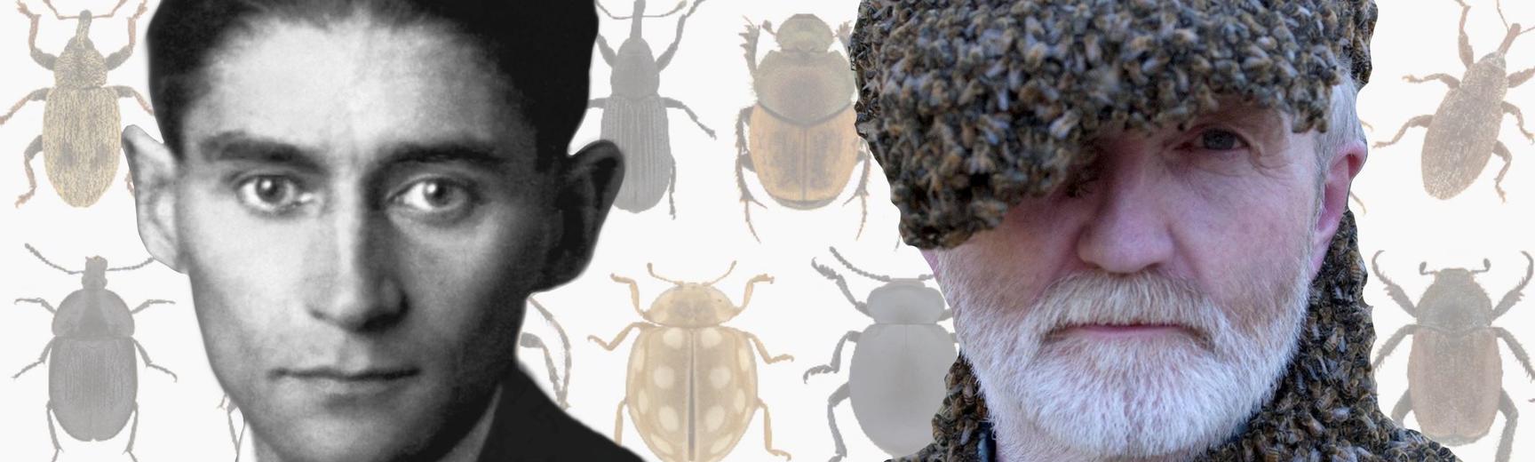 Franz Kafka and George McGavin on a background of British insects