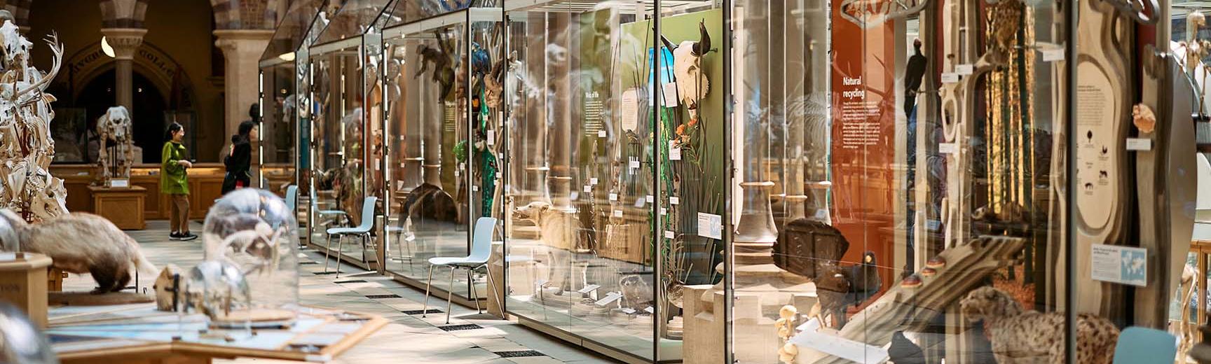 Interior view of the museum showing the newly installed displays