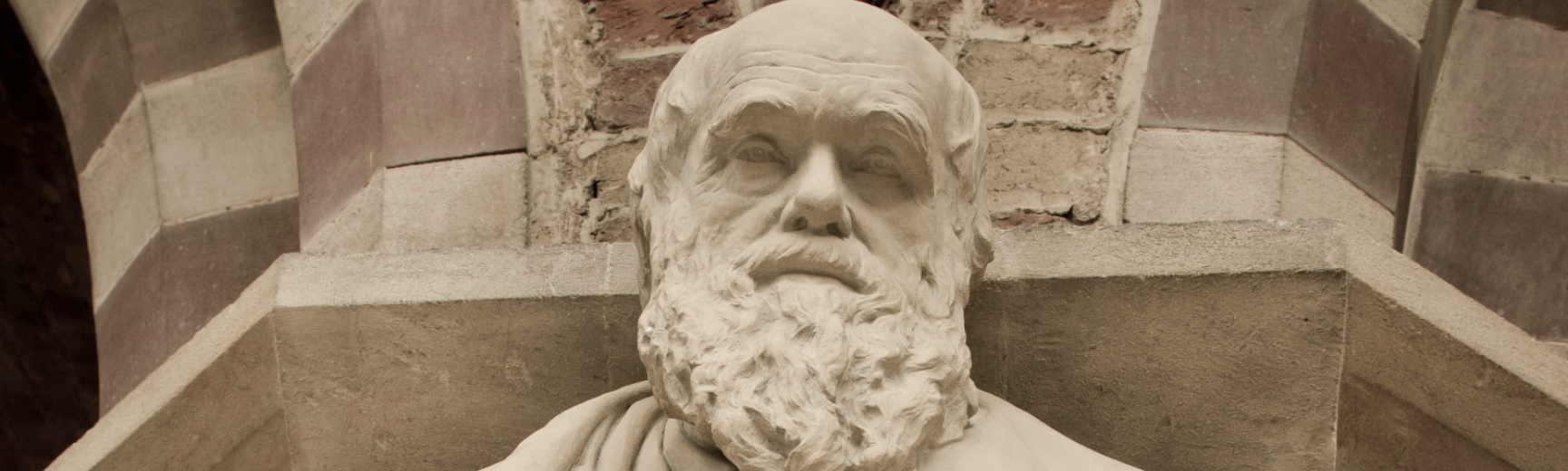 Darwin's statue