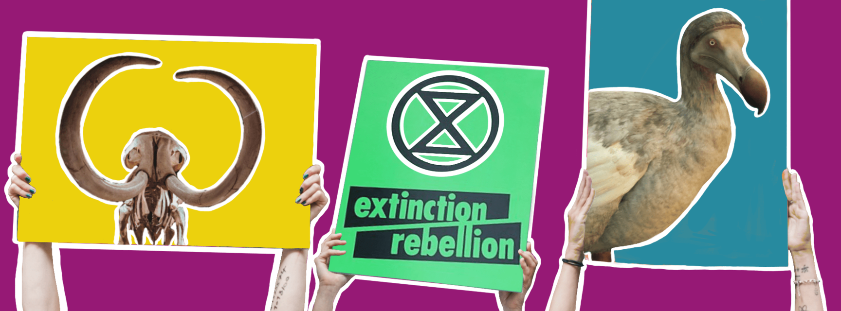 Some protestors' hands holding up signs with a mastodon, dodo, and extinction rebellion logo
