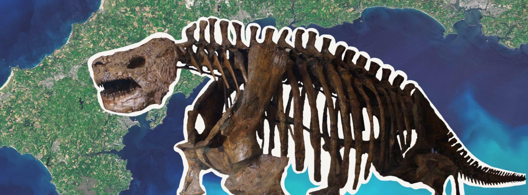 A skeleton of a Pareiasaurus