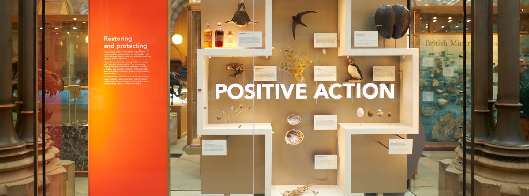 A display case in the Museum about Positive Action, which is featured in the Museum of Climate Hope trail