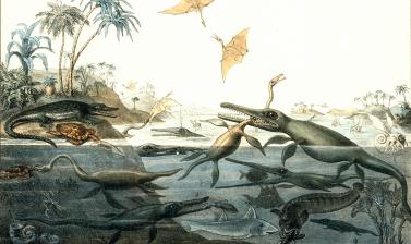 <i>Duria Antiquior - A more Ancient Dorset</i> painted by Henry De la Beche in 1830, is the first artistic representation of a scene of prehistoric life based on evidence from fossil remains, today known as ‘palaeoart’.