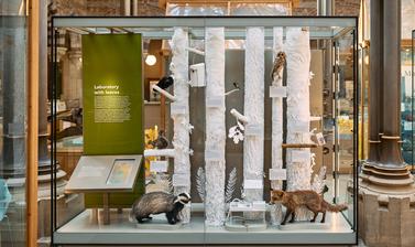 Lab with Leaves display