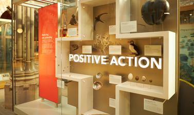 Positive action display