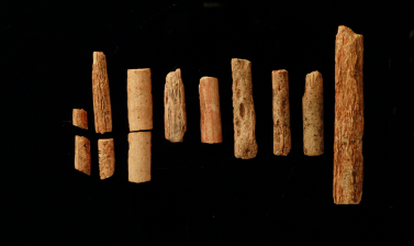 Fragments of ivory rods.