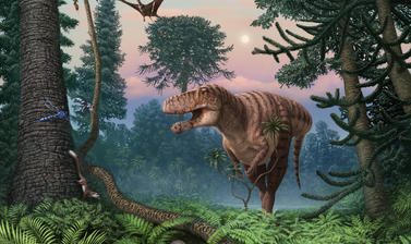 Illustration of Jurassic scene featuring theropod dinosaur in centre, pterosaurs above, fern foliage surround