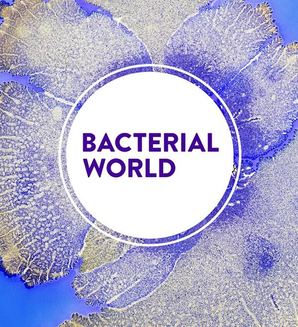 Bacterial World - Special Exhibition
