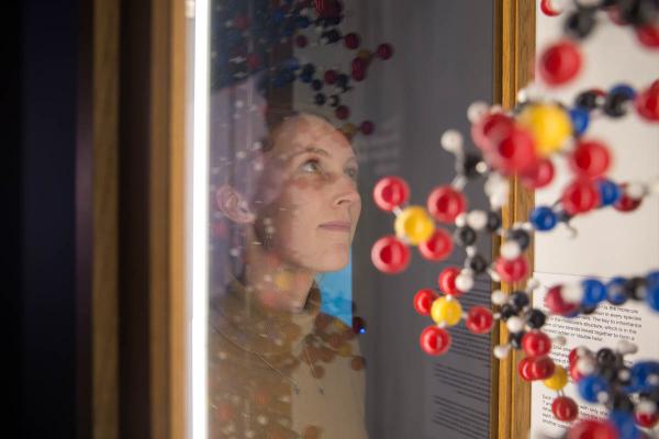 Exhibition in the Upper Gallery Museum of Natural History in Oxford