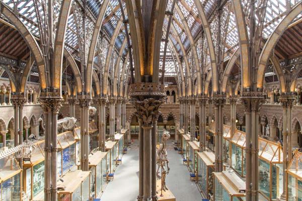 Press Oxford University Museum Of Natural History