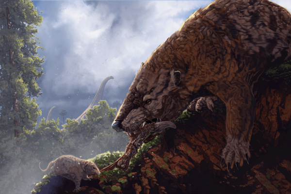 Illustration of extinct mammals by Corbin Rainbolt