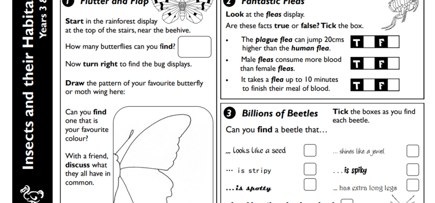 Sample of insects and their habitats trail