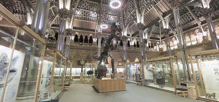 mnh virtual tour