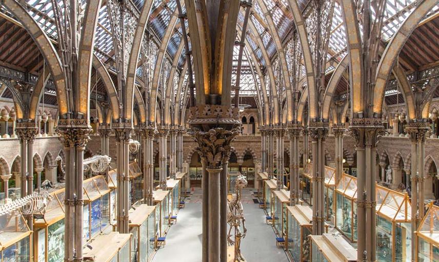 Oxford University Museum of Natural History interior court architecture