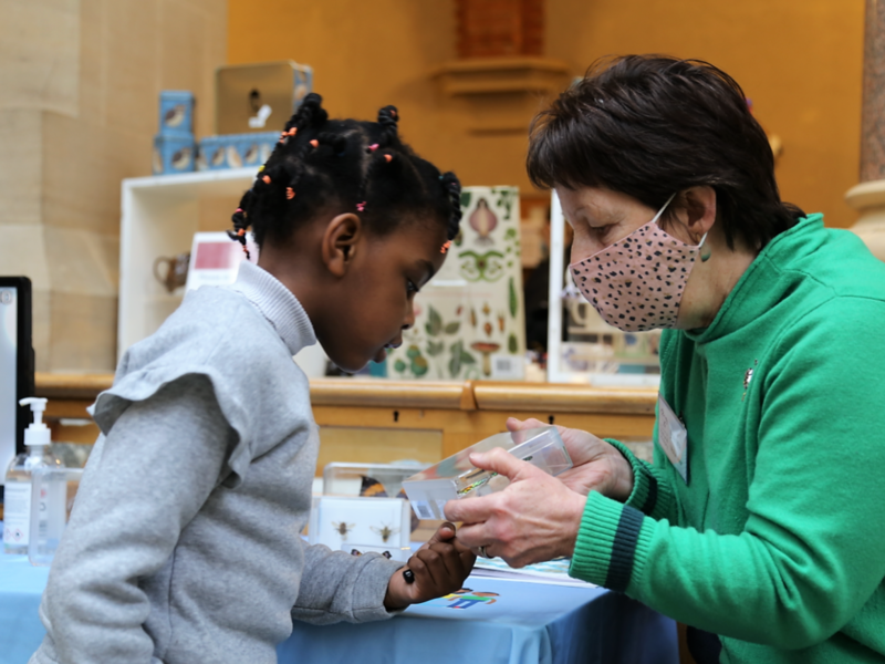 A volunteer showing a young museum visitor a butterfly specimen
