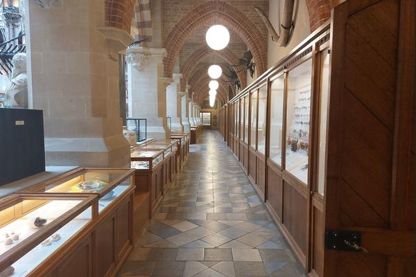 A view of one of the corridors around the outside of the Main Court. There are display cases of fossils on both sides.