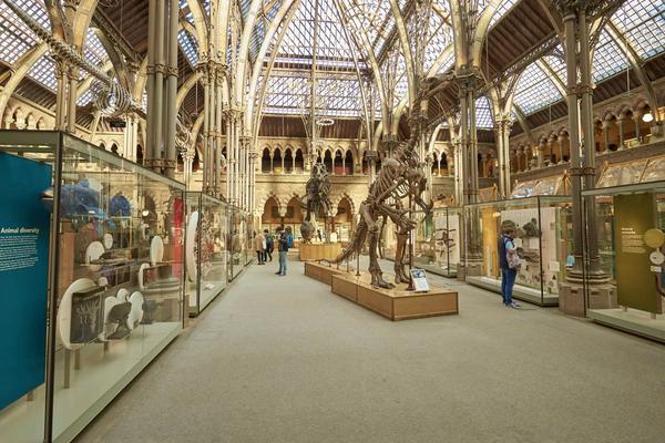 The Main Court of the Museum as seen from the main entrance including an Iguanodon skeleton and rows of cases