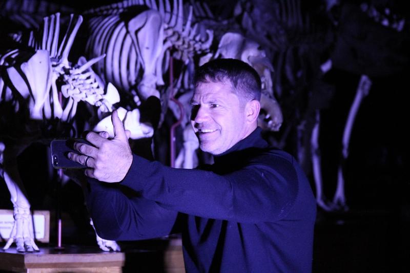 A man bathed standing in front of a row of mammal skeletons, bathed purple-blue light and looking into a mobile phone