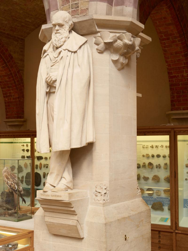  The statue of Charles Darwin carved by Henry Hope Pinker and unveiled in the Museum on 14 June 1899