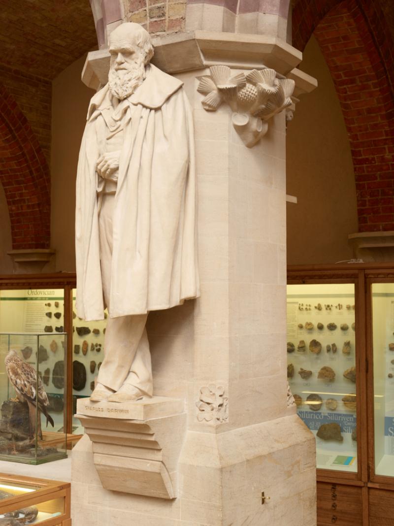 The statue of Charles Darwin carved by Henry Hope Pinker and unveiled in the Museum on 14 June 1899