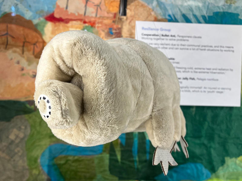 Tardigrade Plushie