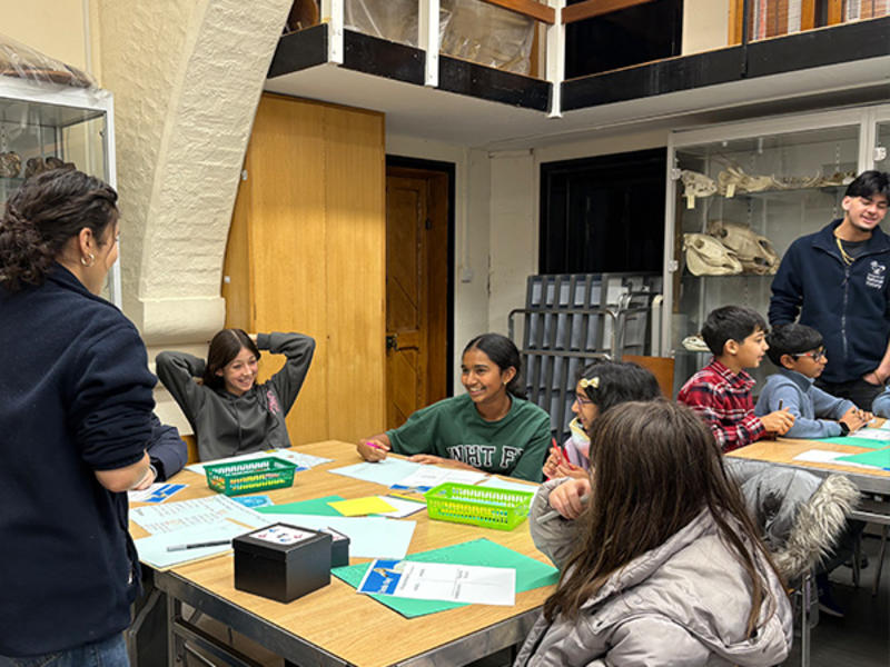 A group of students sit around a table engaged in a classroom activity with paper and materials, while an adult stands nearby guiding the discussion, with display cases of natural history specimens in the background.