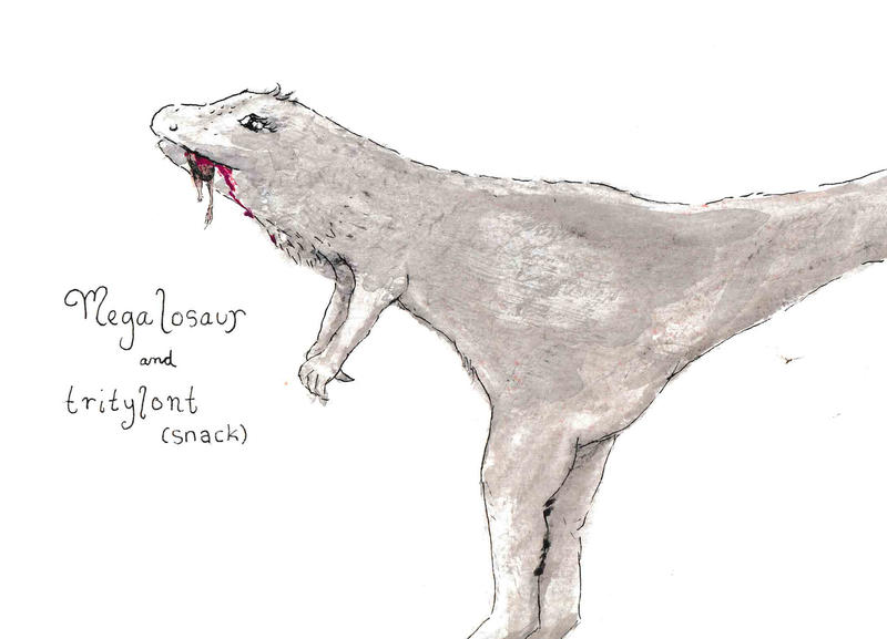 A sketch of Megalosaurus with a Tritylont in its mouth
