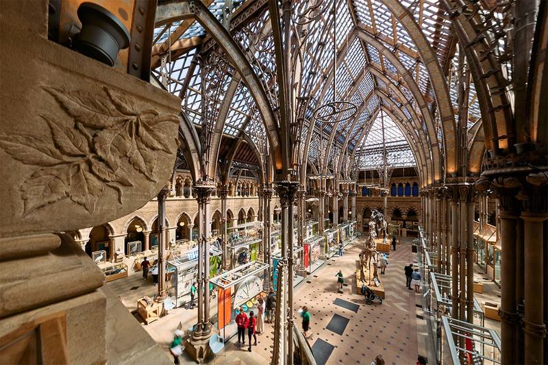 High view of the main court in the Museum of Natural History