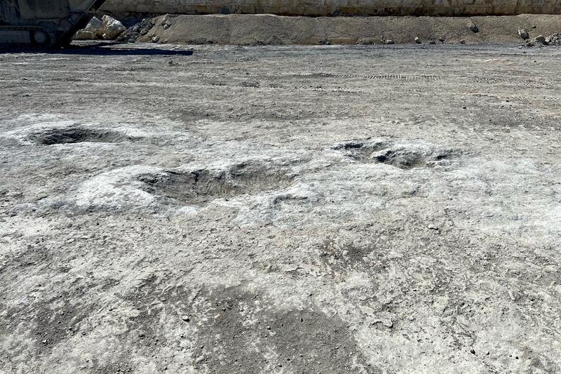 Close-up view of large fossilized sauropod dinosaur footprints preserved in rock at an excavation site. Close-up view of large fossilized sauropod dinosaur footprints preserved in rock at an excavation site.