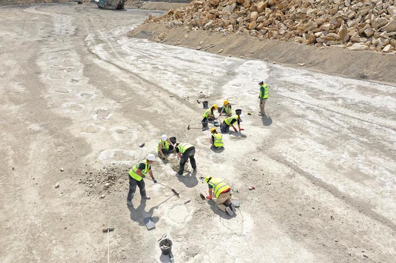 A group of people wearing safety vests and helmets excavating sauropod dinosaur footprints at a quarry site. A group of people wearing safety vests and helmets excavating sauropod dinosaur footprints at a quarry site.