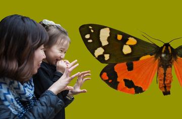 A mother and toddler looking at a patterned moth wing