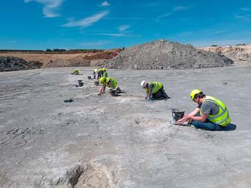 Seven people in hi-viz jackets excavating dinosaur footprints in a quarry