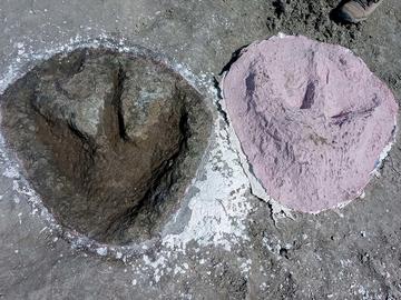 Megalosaurus print in the quarry floor alongside its cast