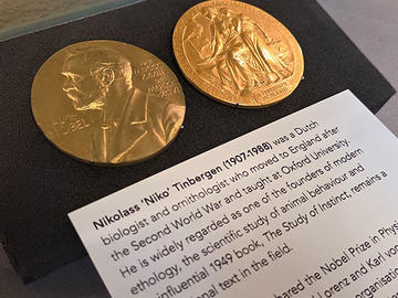 Nobel prize medal awarded to Nikolass ‘Niko’ Tinbergen (1907-1988)