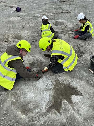 Excavators in hi-viz jackets working on the footrprints of a Megalosaurus.