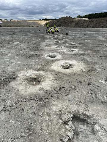 Trail of dinosaur footprints leading into the distance
